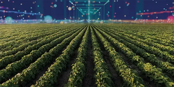 Turning Insight Into Impact